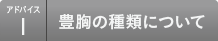 アドバイス1 豊胸の種類について
