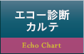 エコー診断カルテ