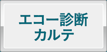 エコー診断カルテ